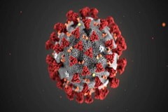 Coronavirus death toll passes 4,000 worldwide