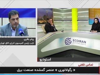 گفتگوی محمودرضا حقی فام با اکو ایران 