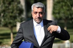 EAEU Can Save Members from Globalization Fallout: Iranian Minister