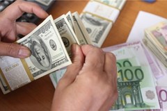 CBI Sets Limit on Carrying Foreign Cash to Stabilize Market