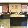 نشست نمایندگان تشکل ها و شرکت های فعال در عرصه صنعت برق کشور با معاون وزیر برق سوریه