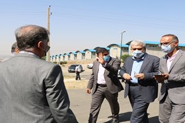 بازدید سورنا ستاری از شرکت اپیل