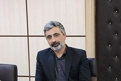 تقلید ایزومورفیک در اصلاحات بخش توزیع برق