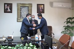 معاون هماهنگی توزيع توانير منصوب شد