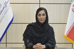 توانمندی‌های متعدد سازندگان صنعت برق