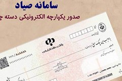 انعکاس مشکلات شرکت‌های فعال صنعت برق در ثبت چک در سامانه صیاد